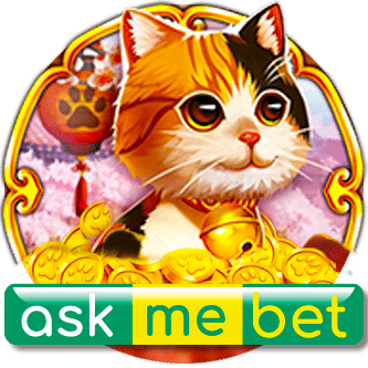 ask me bet